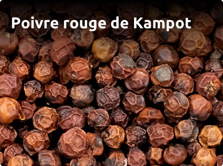 Idée cadeau autour d'un coffret : les poivres de Kampot - Poivre et sel,  achat, magasin, conseil, recette
