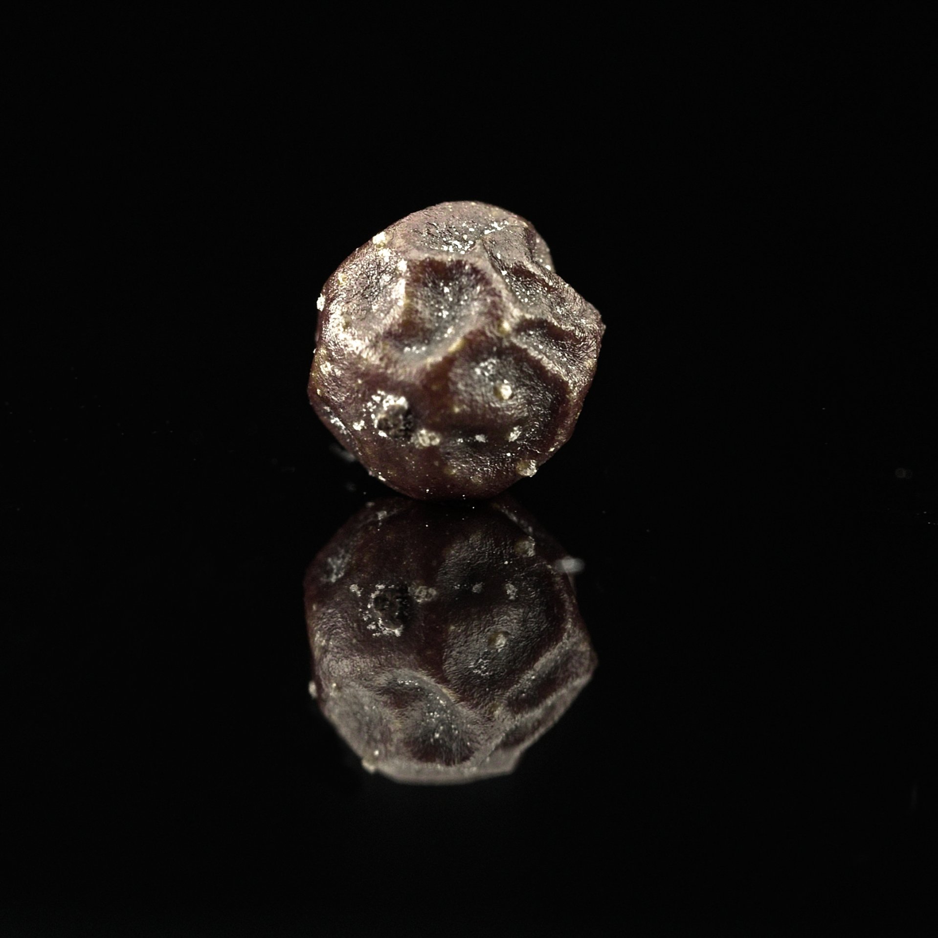 What does a healthy peppercorn look like? Kampot.co.uk