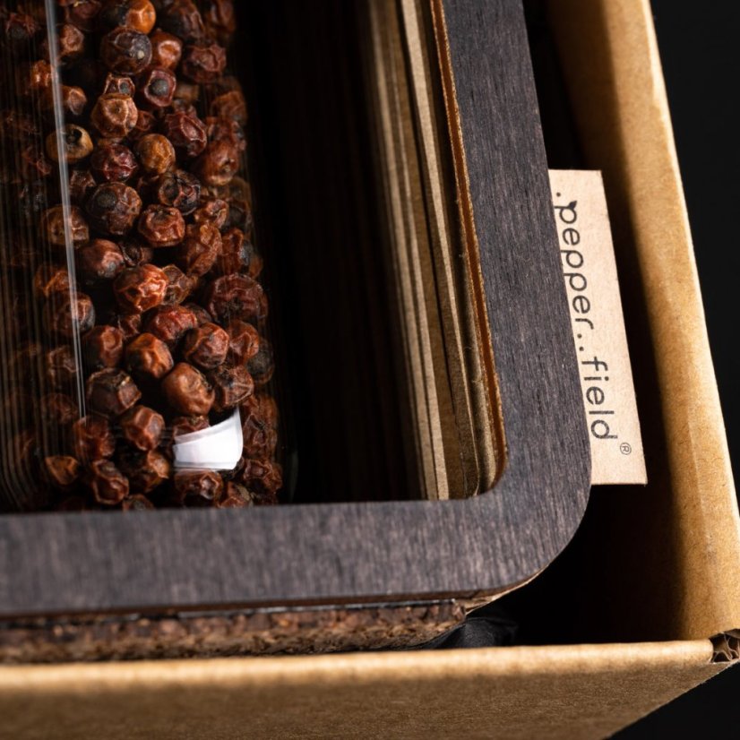 Gift set with one tube of Kampot pepper and stand in recycled cardboard box (70g) - Choose pepper: White Kampot pepper, Stand colour: Dark