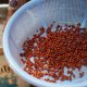 All about red Kampot pepper. Why is it so rare?