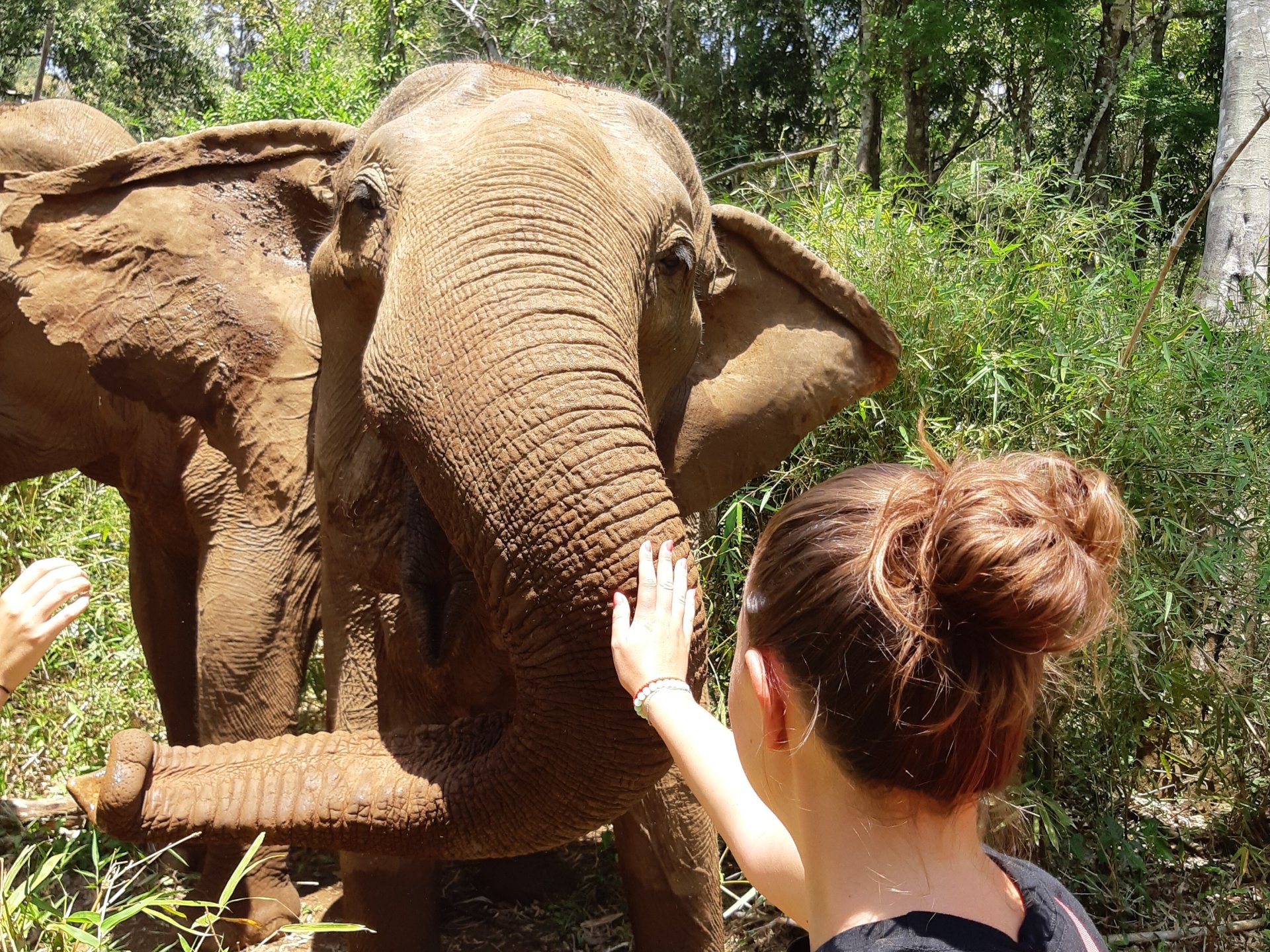 To Cambodia sustainably and for an authentic experience!