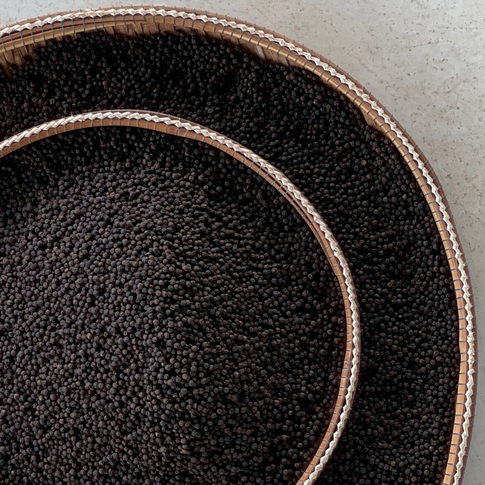 Black pepper: the phenomenon you need to know everything about!