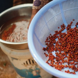 Když pod slupku Kampotského pepře nahlíží vědci: Jak uchovat 100% kvalitu červeného pepře?