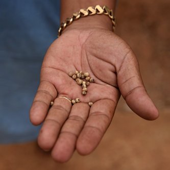 Sustainability. What does that mean in our case?