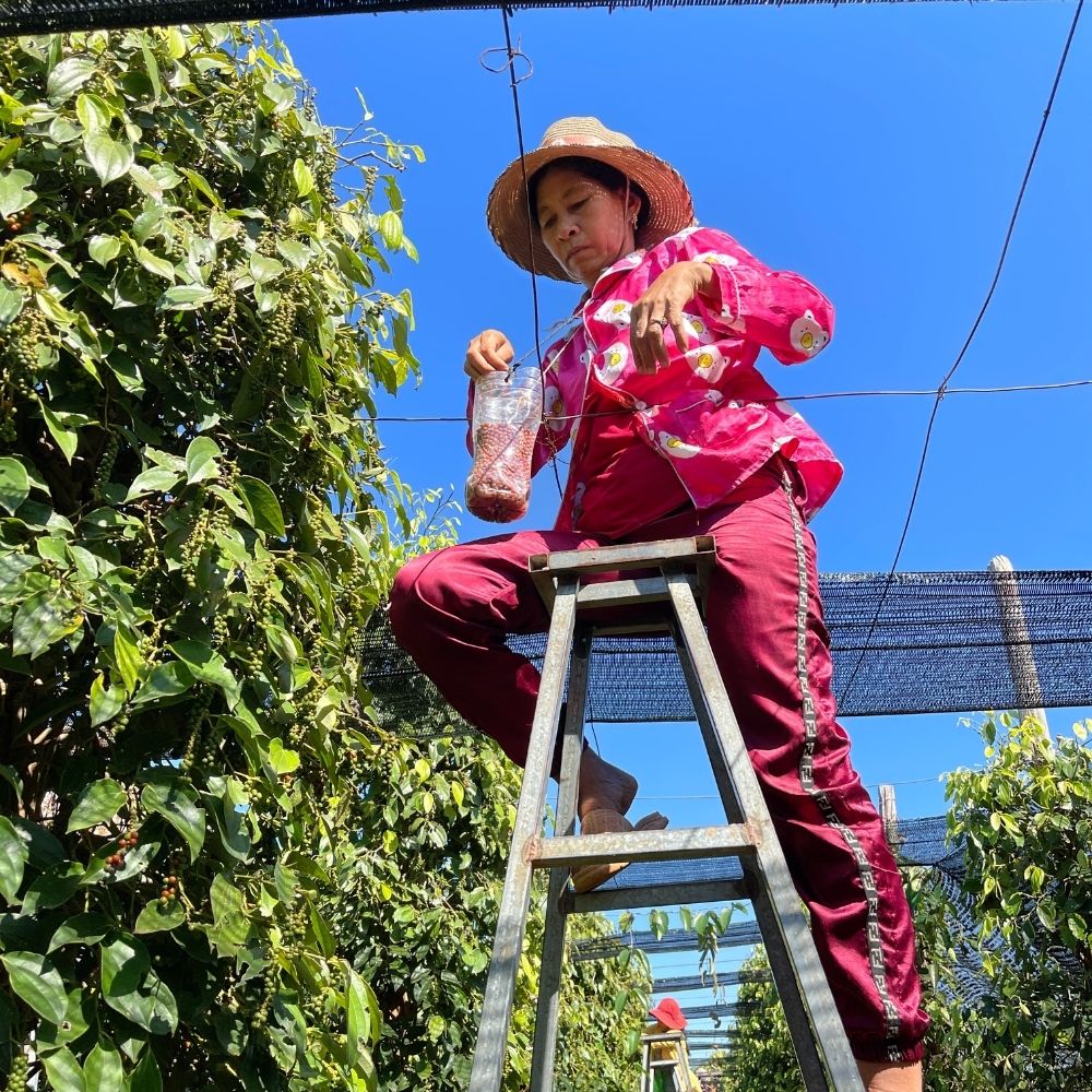 Harvest, the most demanding time of the year