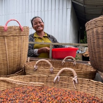 Discover the important role that Kampot pepper plays in the lives of farmers on the other side of the planet!