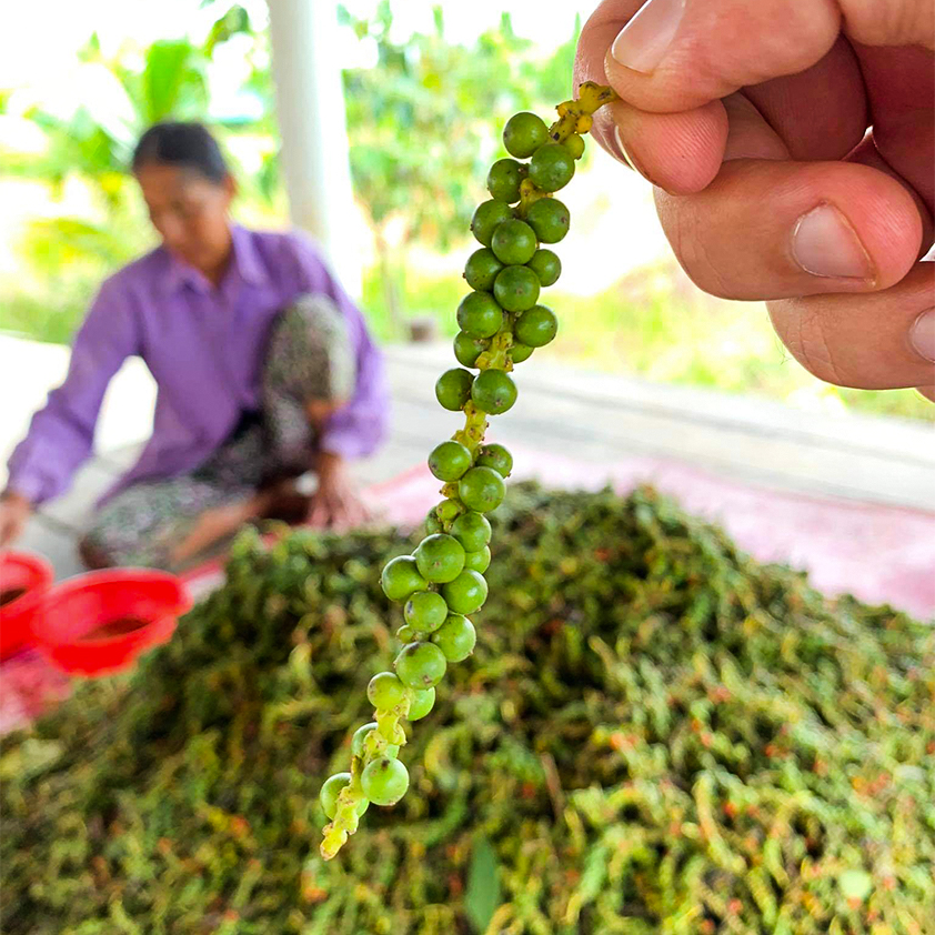 6 tips to help yourself with pepper for beauty and stronger health
