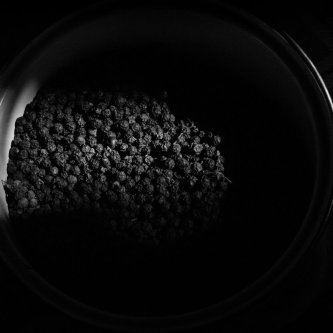 Black Kampot pepper - can you detect all the flavors in it?