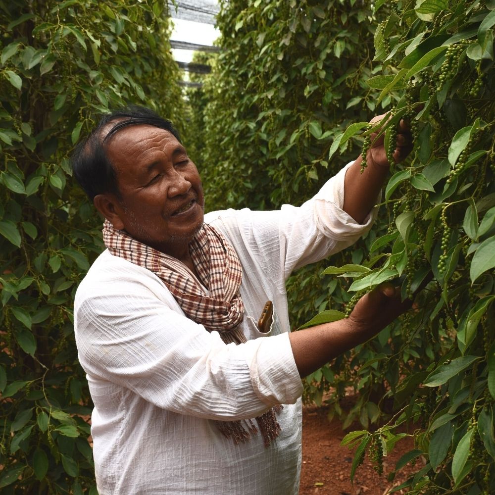Why is Kampot so unique? | Kampotpepper.cc