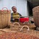 Poznejte, jak důležitou úlohu hraje Kampotský pepř v životech farmářů na druhé polovině planety!