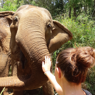 To Cambodia sustainably and for an authentic experience!