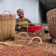 Discover the important role that Kampot pepper plays in the lives of farmers on the other side of the planet!